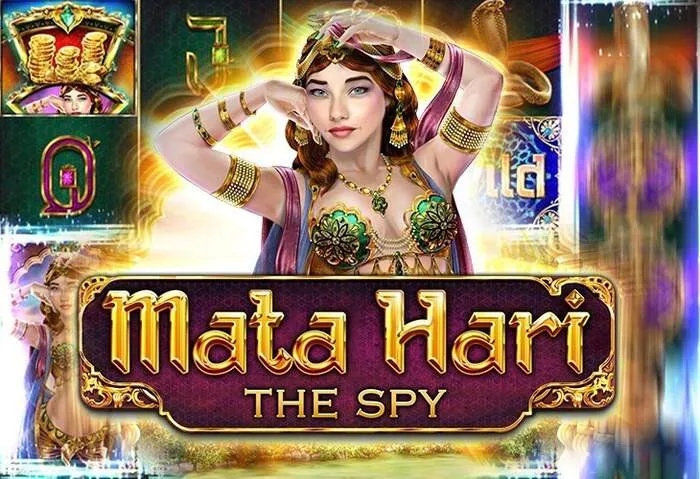Bingobonga Casino: начните выигрывать после загрузки