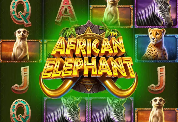 Bingobonga Casino: начните выигрывать после загрузки