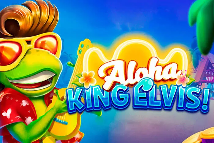 Bingobongacasino download and account help available 24/7