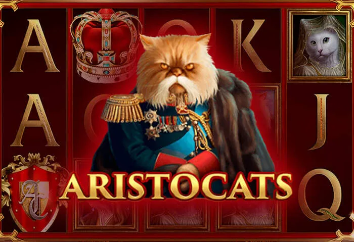 Get instant assistance from Bingobongacasino customer support anytime