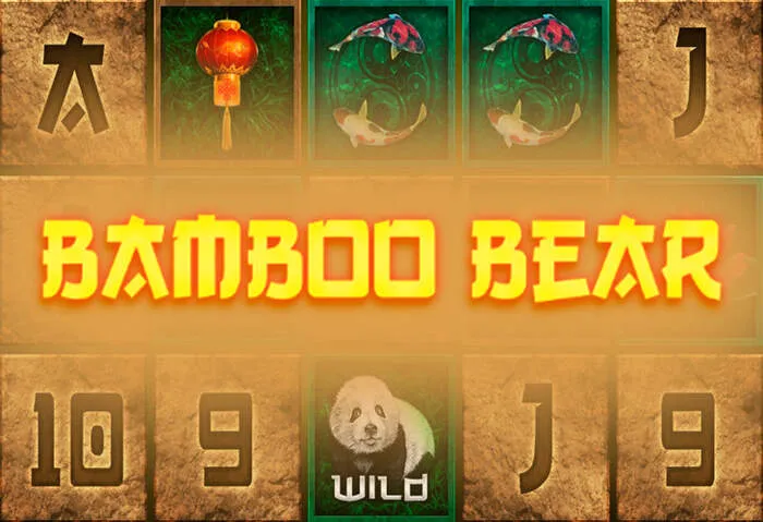 Fast and secure Bingobonga Casino software download for desktop and mobile