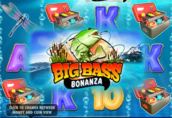 Download the Bingobonga Casino app for instant play and big wins