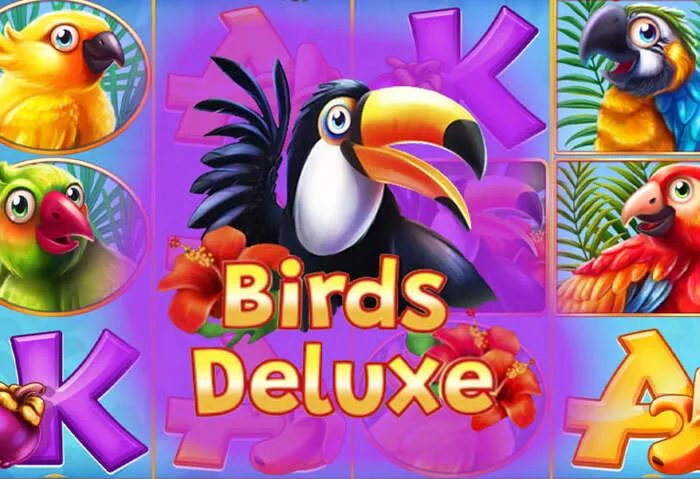 Get instant assistance from Bingobongacasino customer support anytime